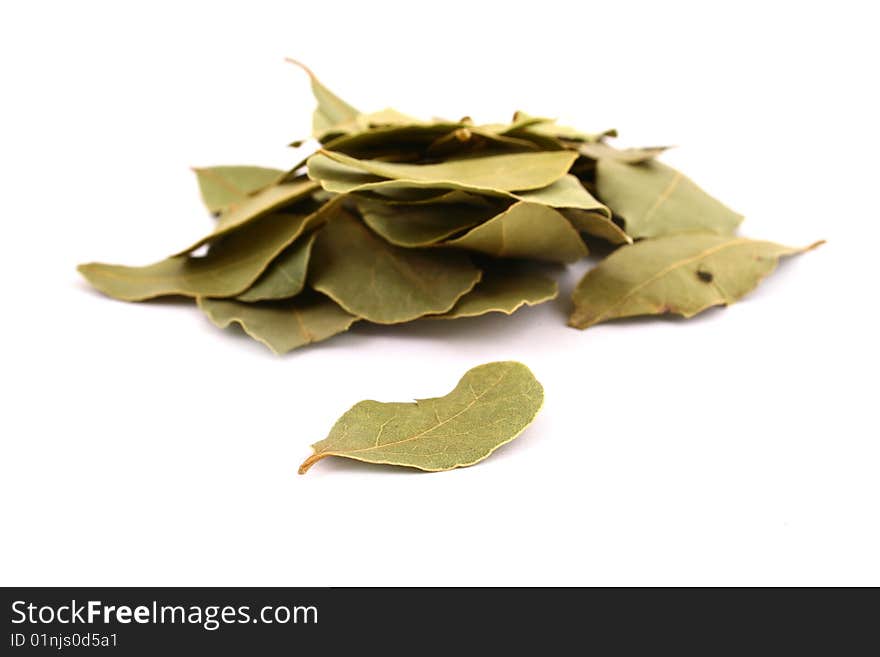 Lots of bay leaves on white background. Lots of bay leaves on white background