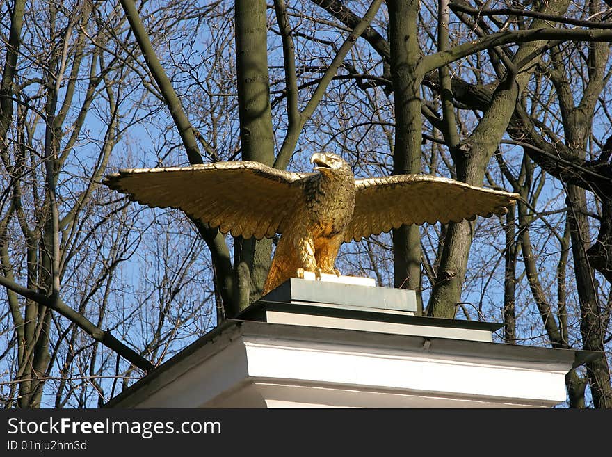 Golden eagle