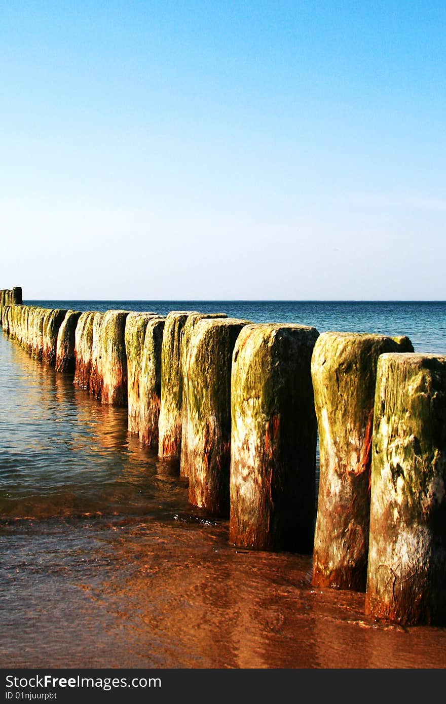 pins in the sea