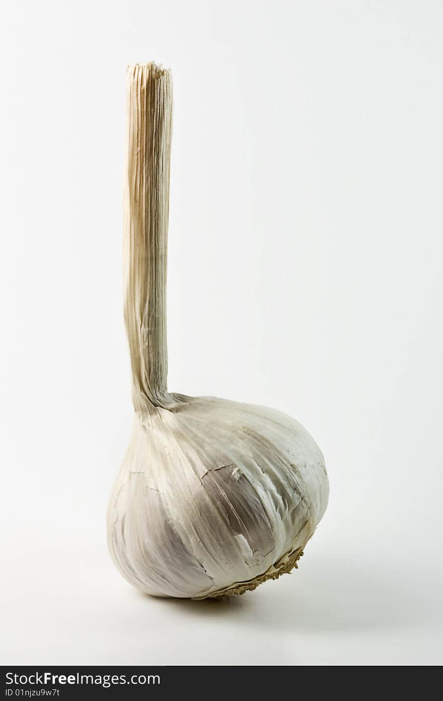 Garlic on white background