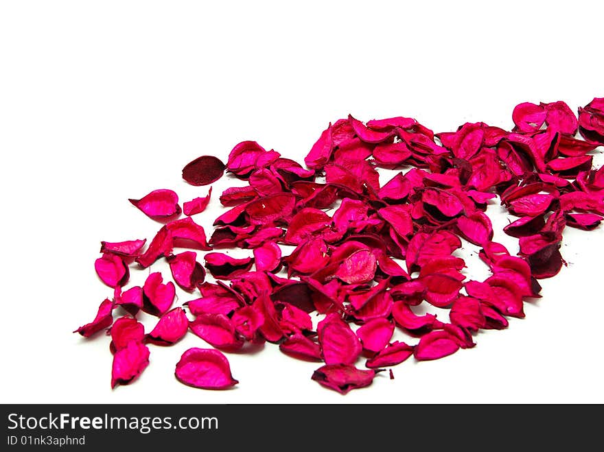 Beautiful red roses petals on a white background