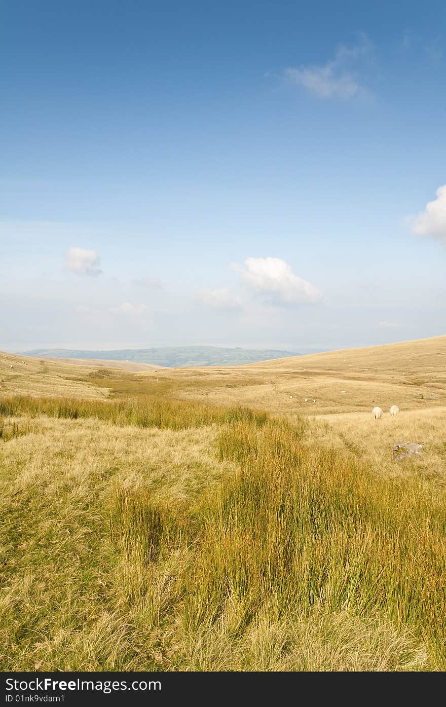 The rolling open moorland of the Brecon Beacons in Wales, UK.