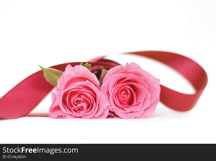 Beautiful flowers on the white background. Beautiful flowers on the white background