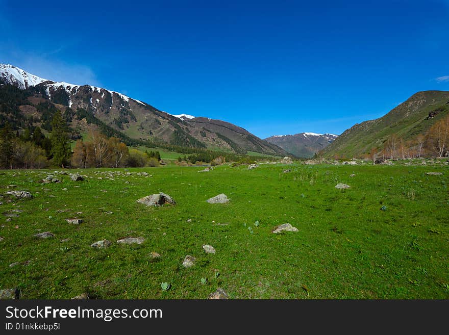 Spring a landscape in mountains. Spring a landscape in mountains