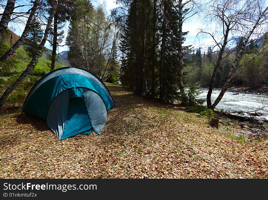 Dark blue tent in wood