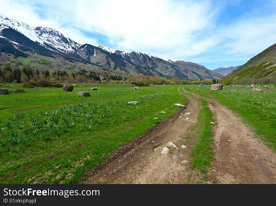 Mountain a landscape with road. Mountain a landscape with road