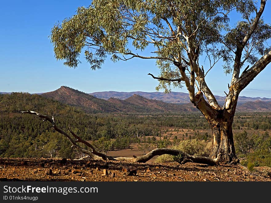 From the Flinders Ranges in South Australia looking over the Three Sisters painted by Hans Heysen