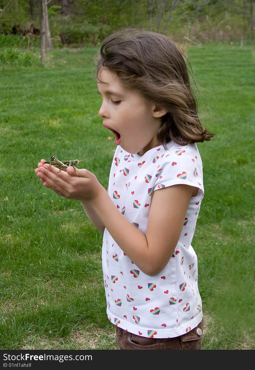 An amazed child with a grasshopper in her hands. An amazed child with a grasshopper in her hands