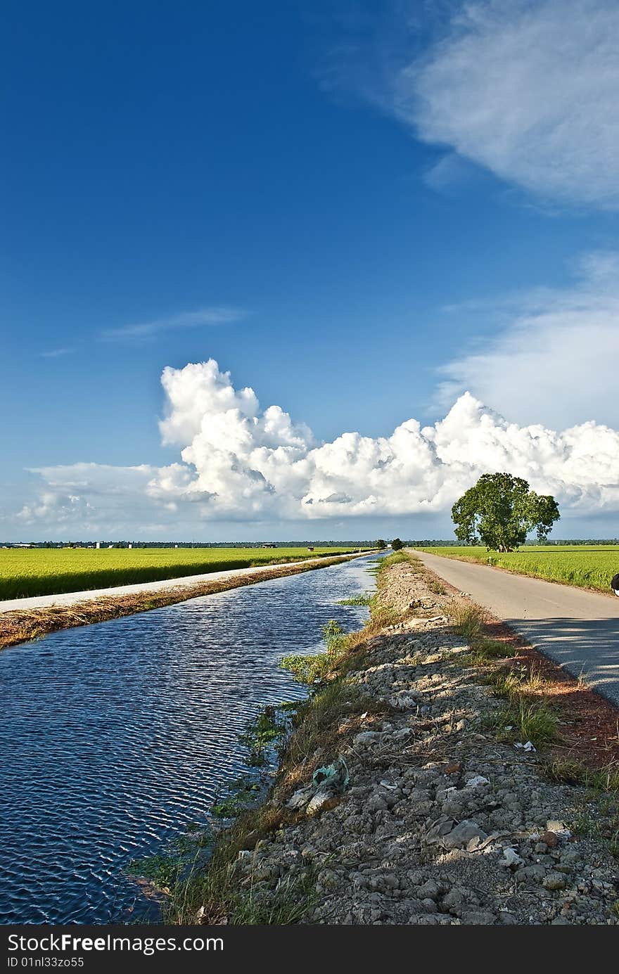 Asia Paddy Field Series 6