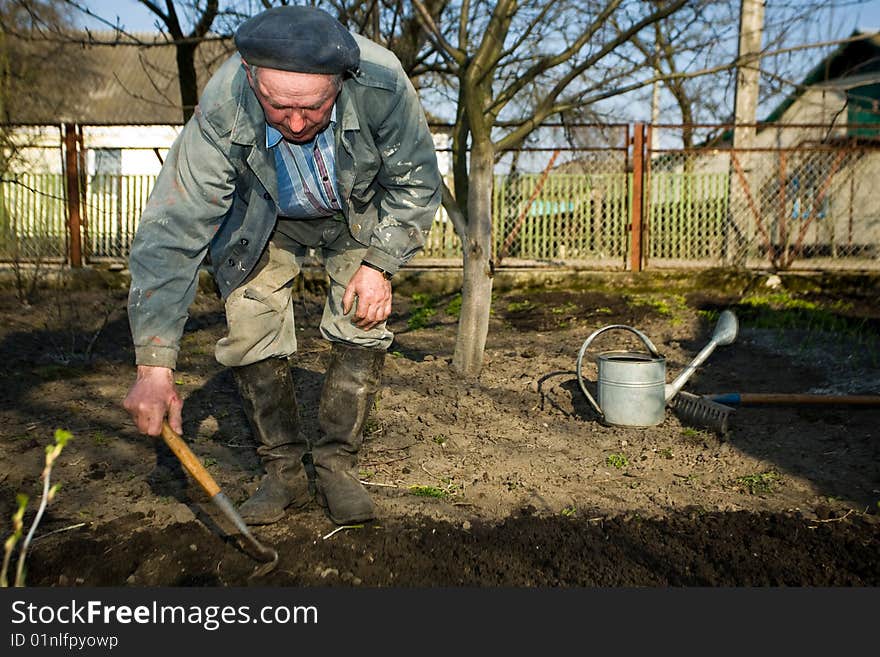 In Kitchen Garden