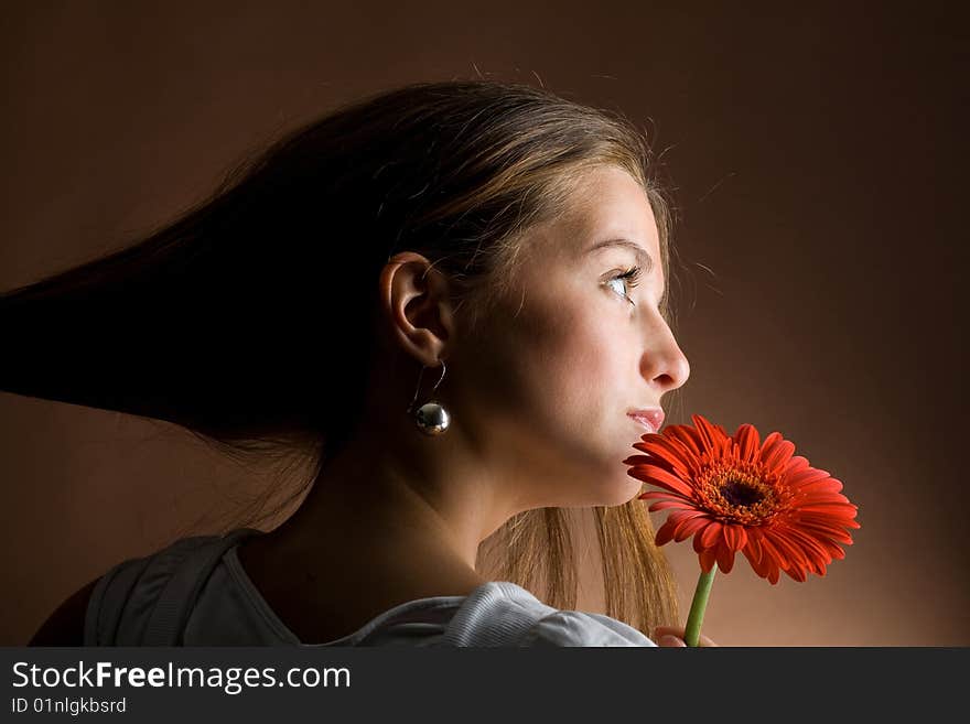 A pretty young woman with long brown hair posing with a red flower in her hand on a dark background. A pretty young woman with long brown hair posing with a red flower in her hand on a dark background