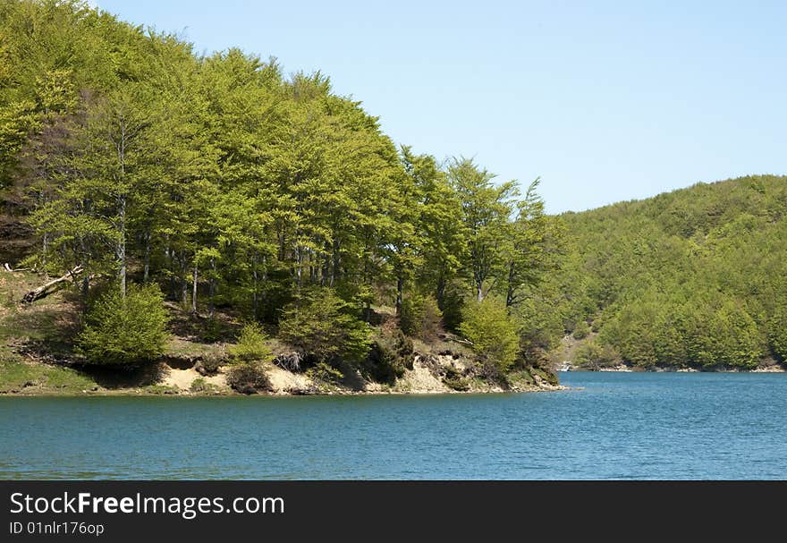 Trees in the lake of lagastrello