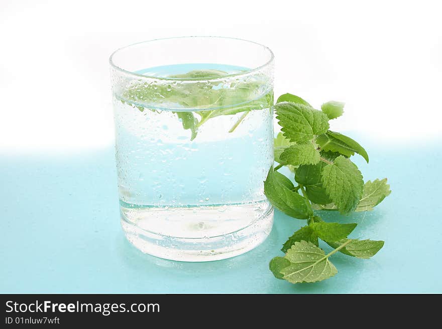 Closeup of a glass of ice water with fresh mint