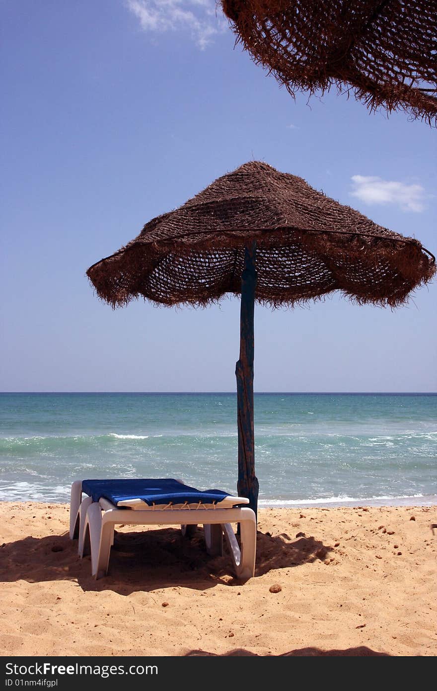 View of a Beach still live