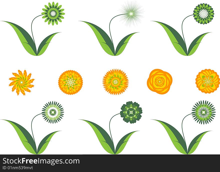 Illustration of spring flowers isolated on white