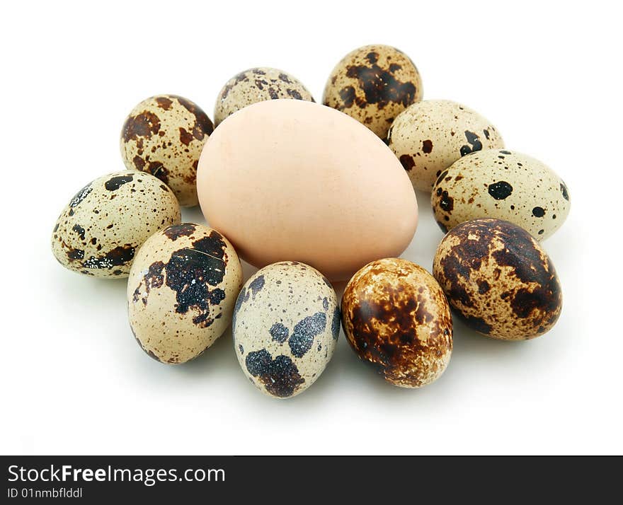 Group of Raw Quail Eggs Isolated on White