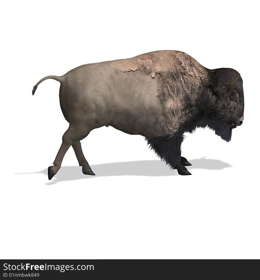 Wild Bison with horns and fur over white. With Clipping Path. Wild Bison with horns and fur over white. With Clipping Path