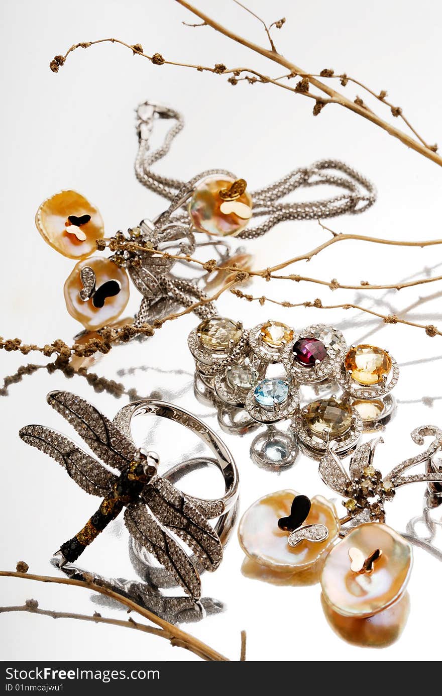 Jeweller ornaments with dry branches