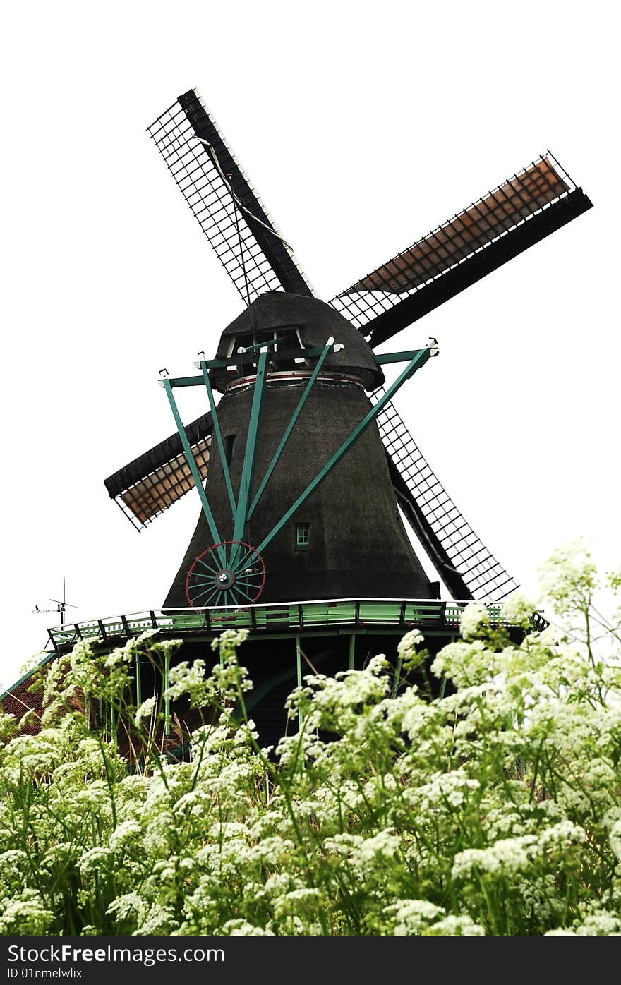 Windmill in the village,  old windmill and flower. Windmill in the village,  old windmill and flower