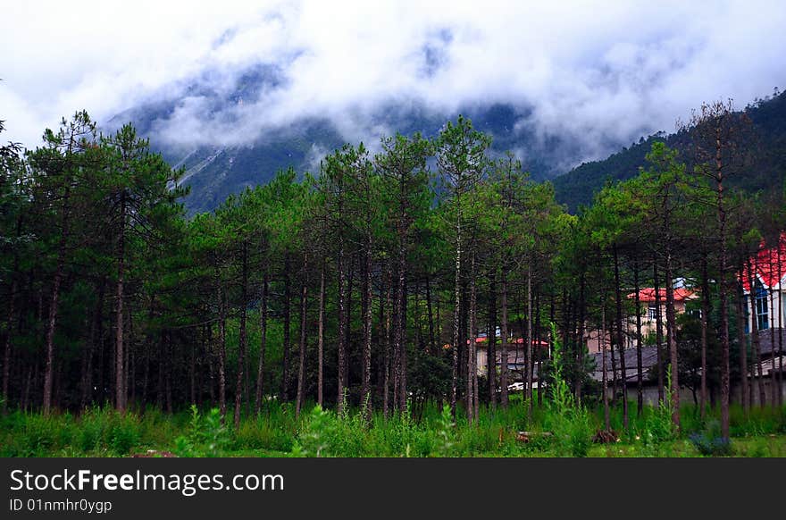 Yulong Snow mountain Foothills