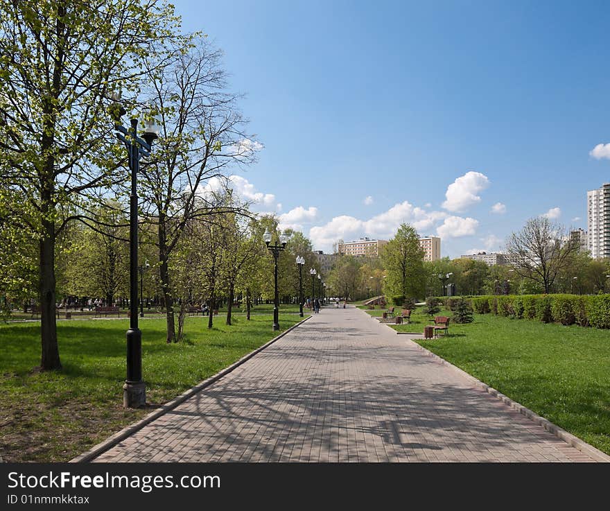 City park in the spring. City park in the spring