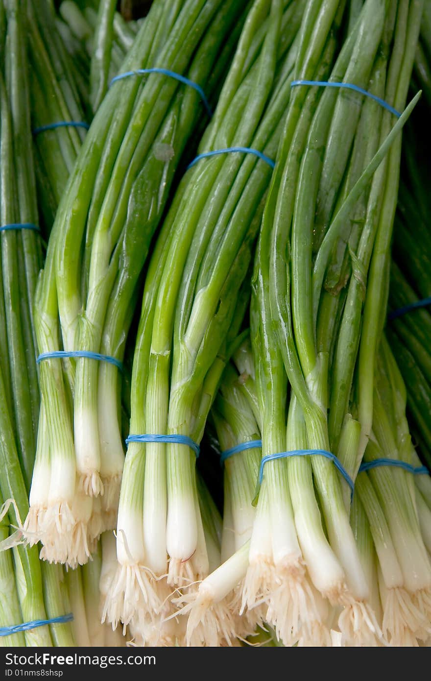 Scallions