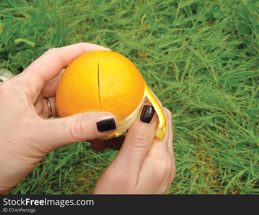 Orange in hands prepare to eat. Orange in hands prepare to eat