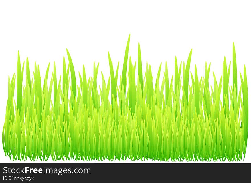 Juicy grass background. Vector illustration