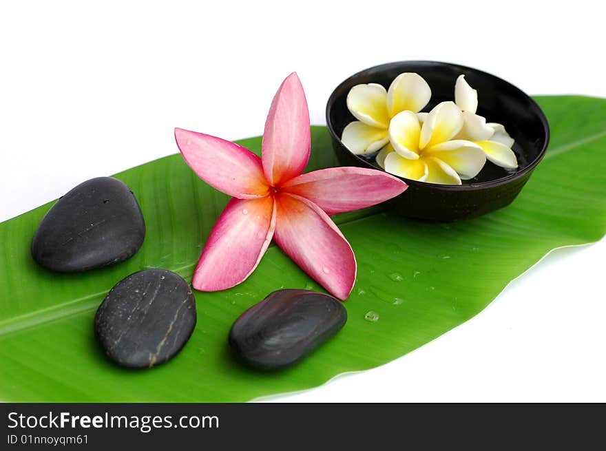 Plumeria and stones on banana leaf. Plumeria and stones on banana leaf