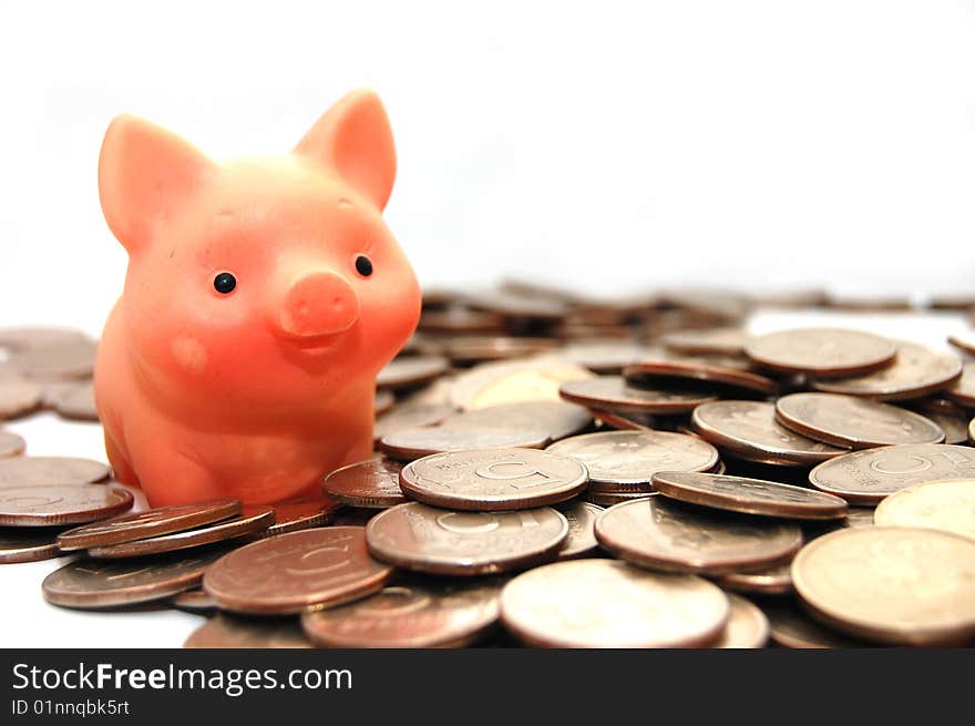 Small pig sits on coins