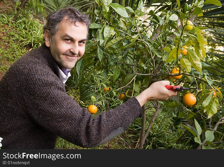 A man doiing his own gardening in his property. A man doiing his own gardening in his property