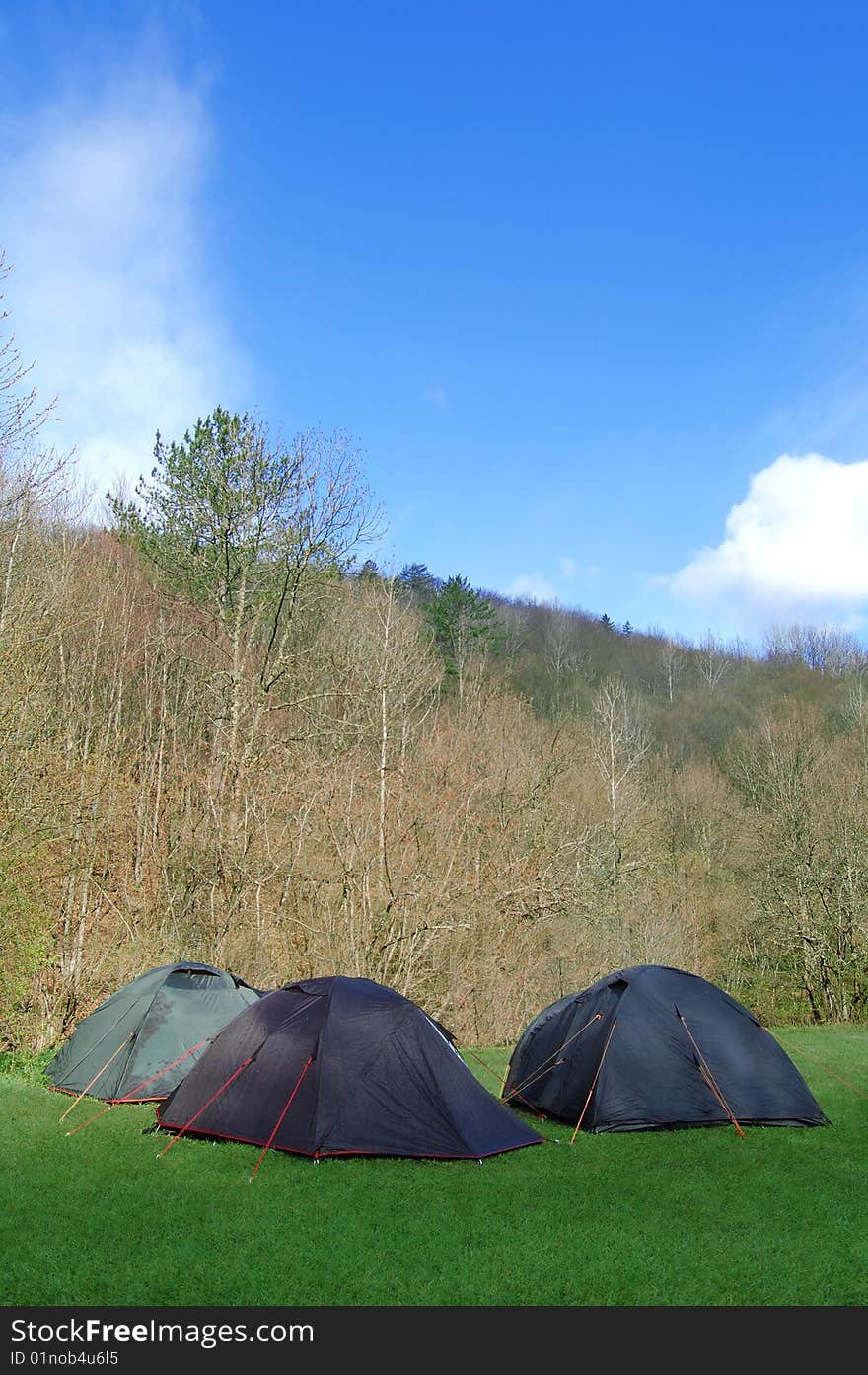 Campsite in the forest