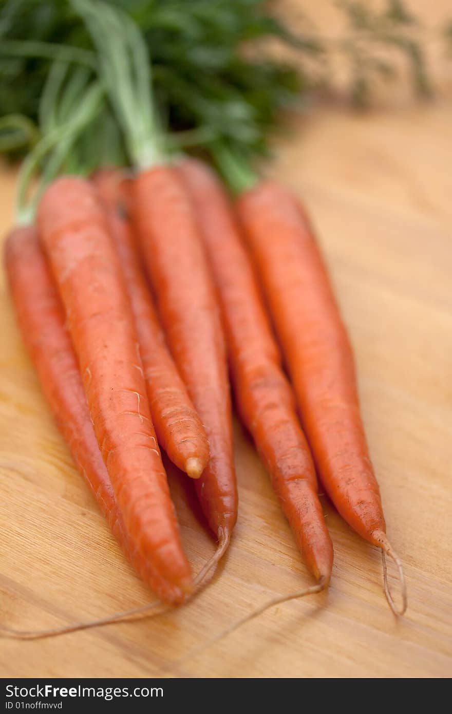 Bunches of fresh carrots for sale at a market