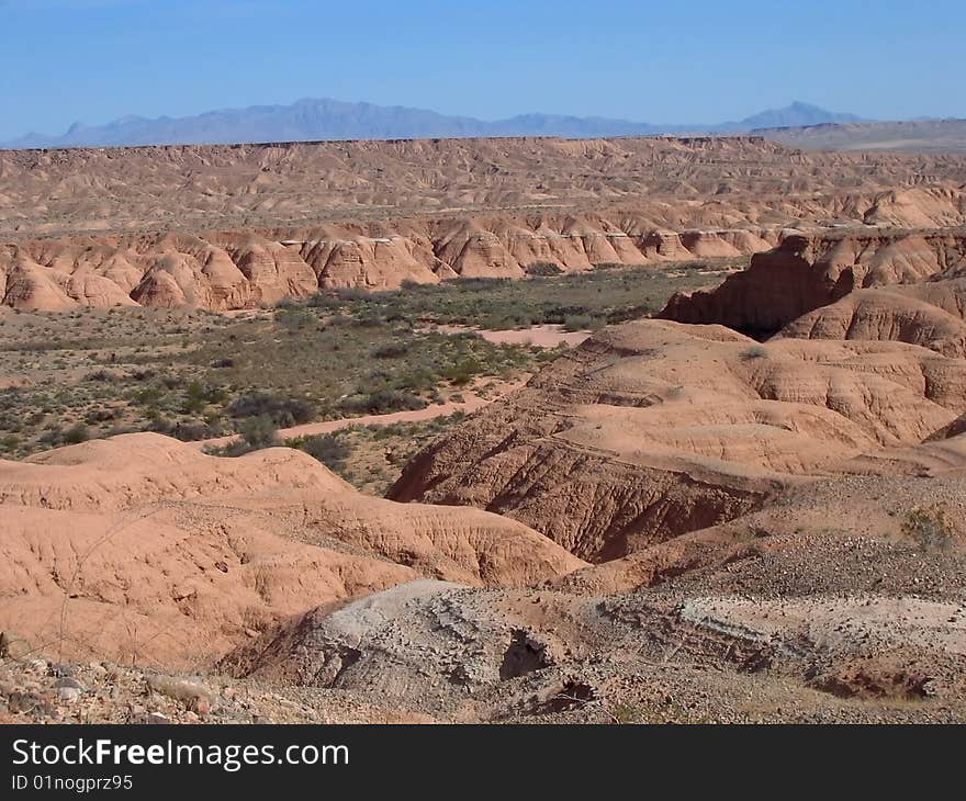 Desert landscape