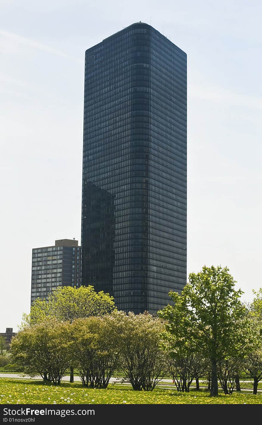 Chicago Apartment Building