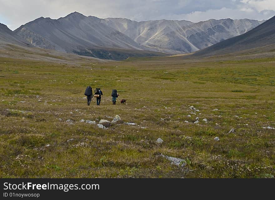 Three backpackers walk along a wilderness valley in Northern British Columbia, Canada. Three backpackers walk along a wilderness valley in Northern British Columbia, Canada