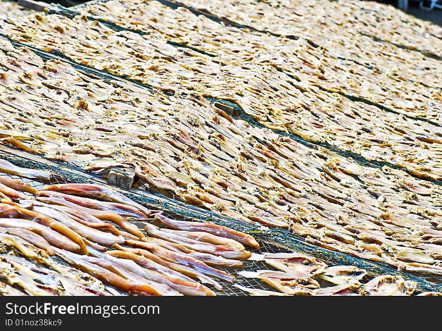 Dried Salted Fish Series 1