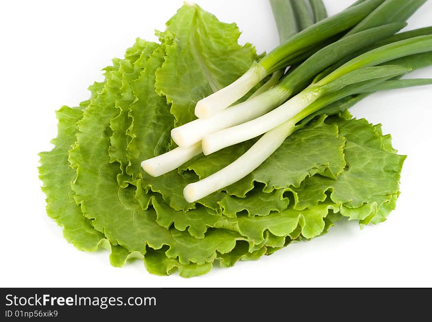 Spring onions on  lettuce