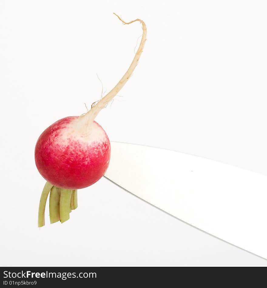 Radish On  Knife Edge