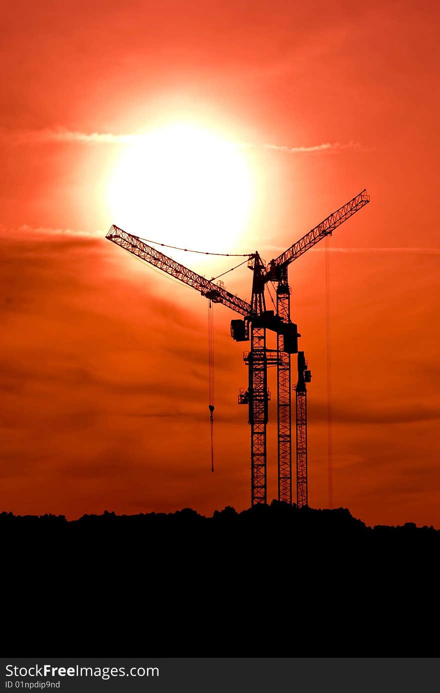 Cranes against the beautiful sky