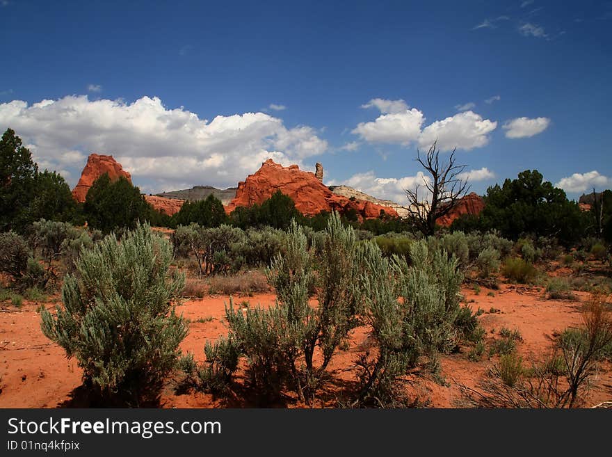 View of the red rock formations in Kodachrome Basin with blue sky's and clouds