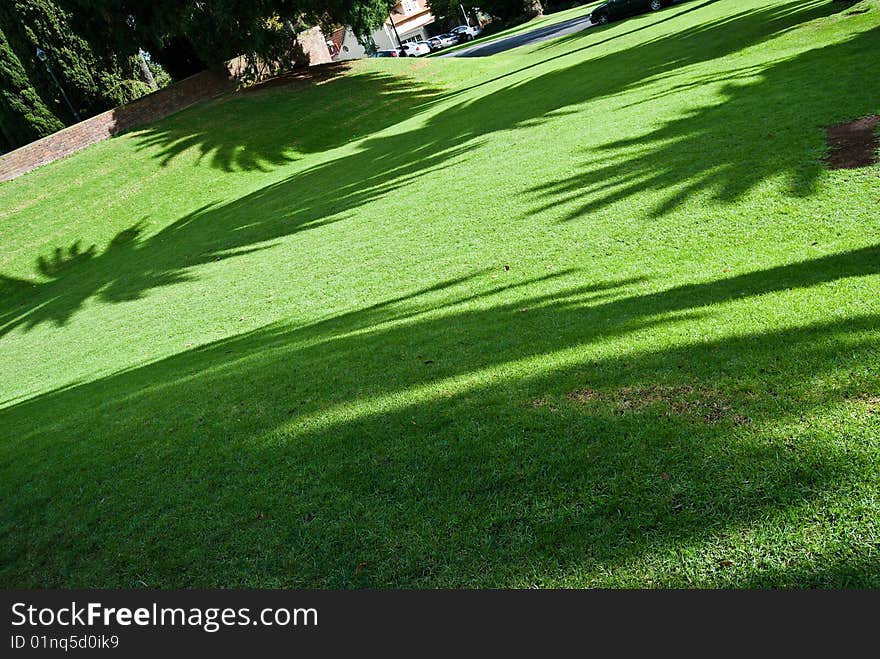 Shadows in the park