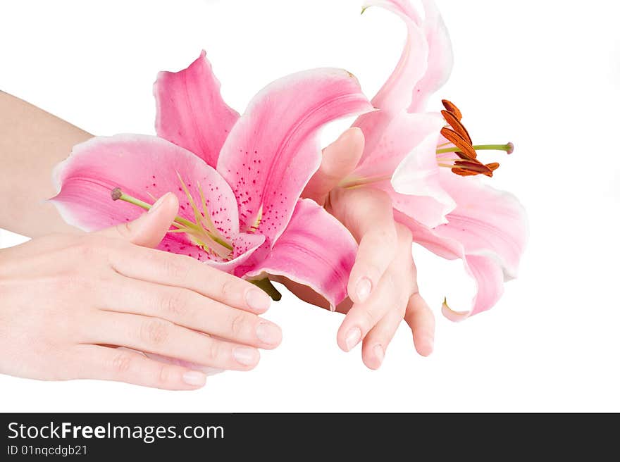 Beautiful female hands