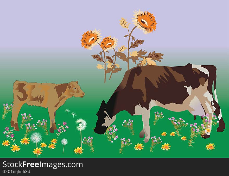 Illustration cows on field with flowers