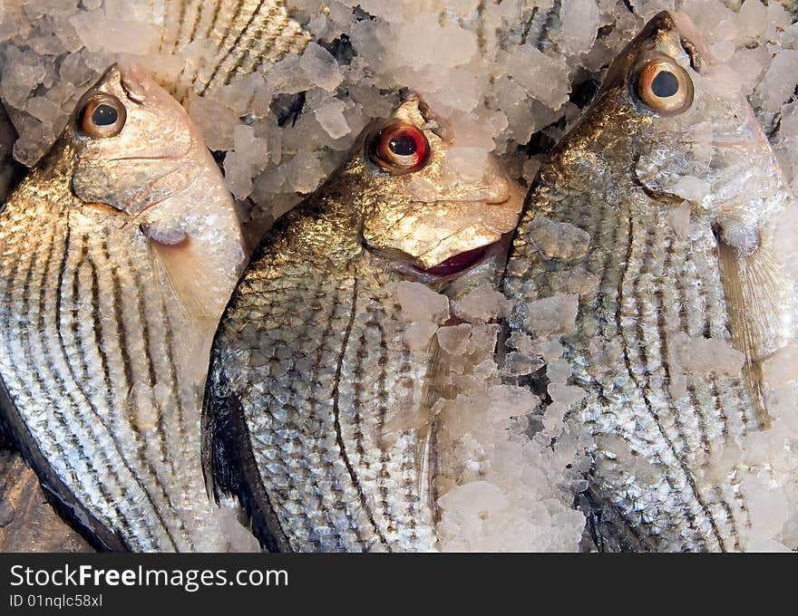 View of some fish for sale in a street market.