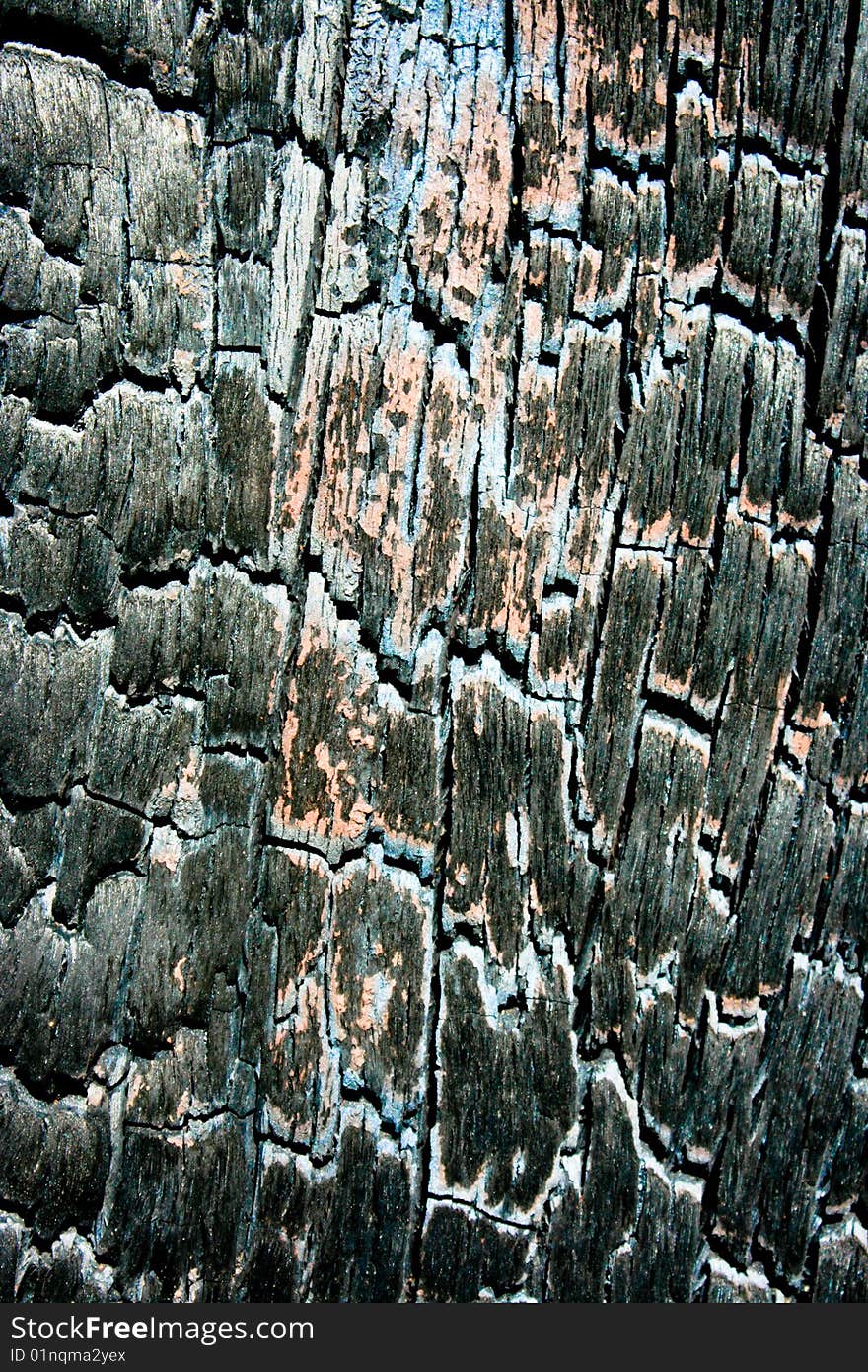 Texture created by wood burnt in a fire. Texture created by wood burnt in a fire