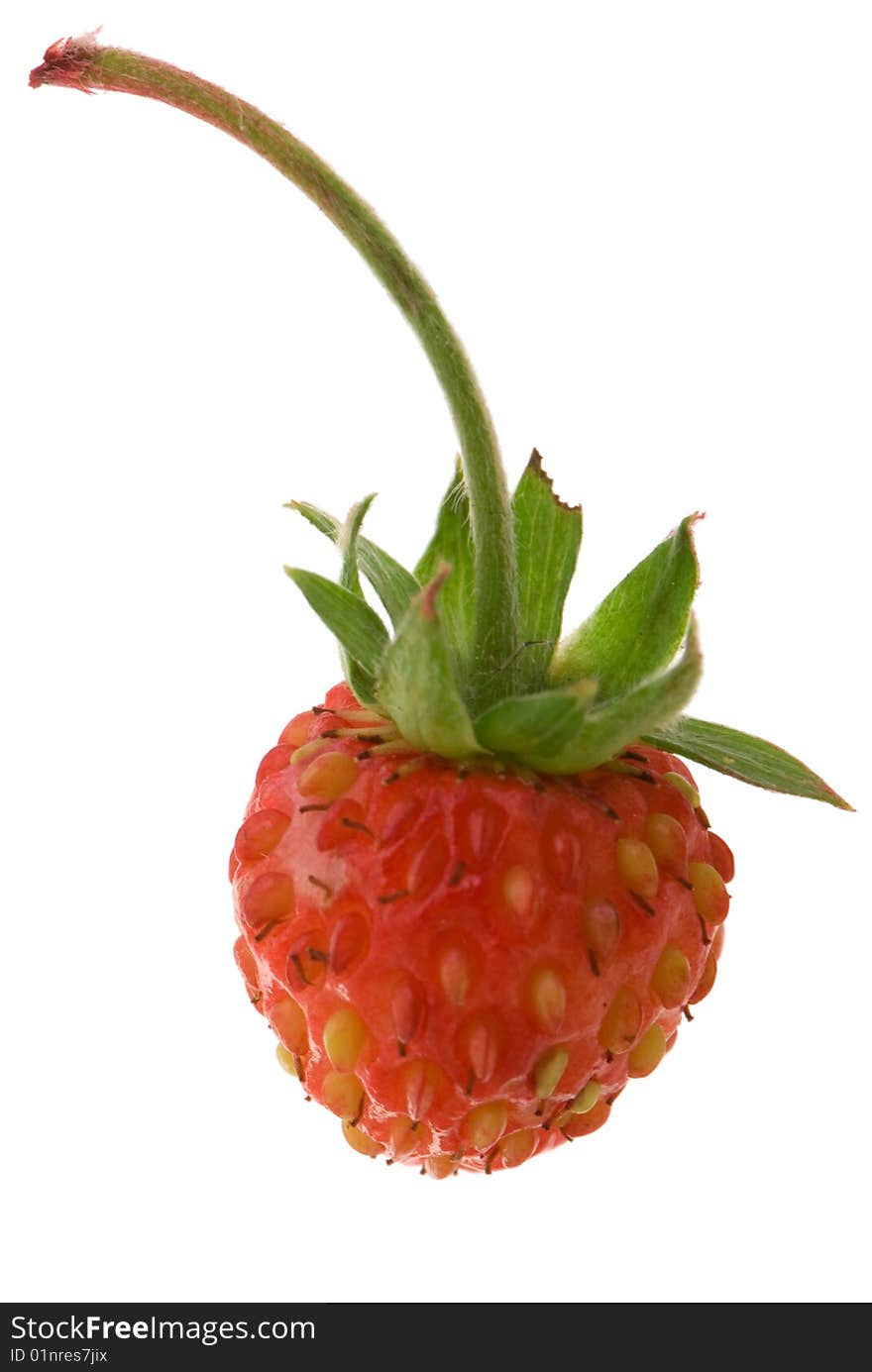 Red strawberry on the wgite background