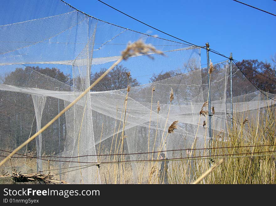 Bird trapping nets