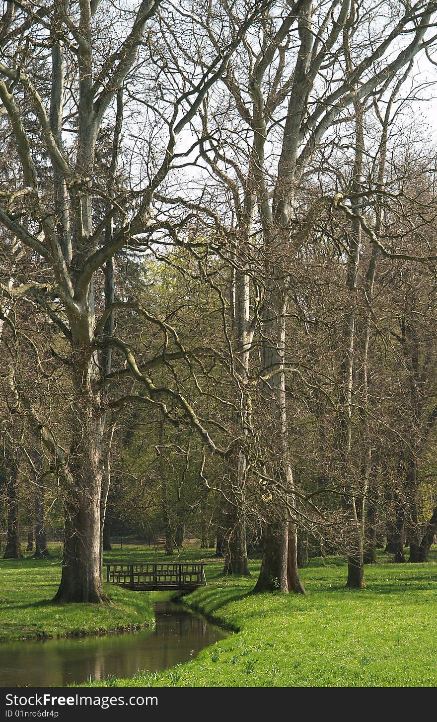 Lonely place in castle garden