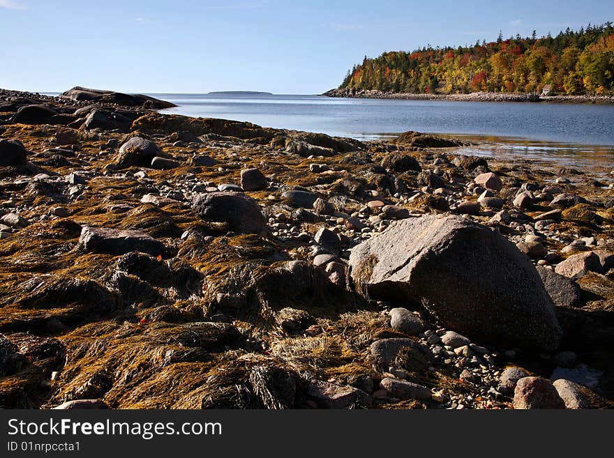 Low Tide At The Inlet, Acadia National Park, Maine